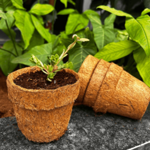 Gro-Med Bio-Degradable Coir Planters